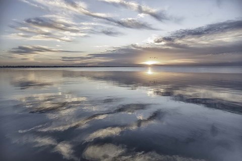 Framed Fronts Of Spirits Print