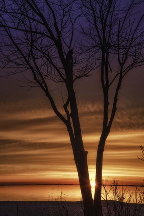 Framed Love And Fire Print