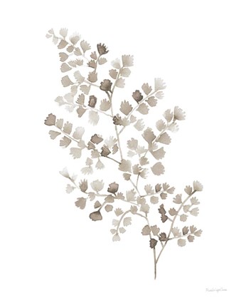 Framed Maidenhair Fern Khaki Print