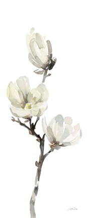 Framed White Magnolia I Panel Print