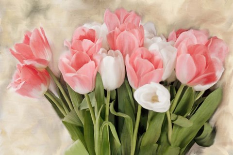 Framed Pink And White Tulips Print