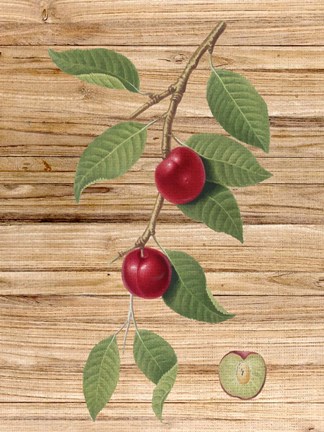 Framed Pressed Fruit 3 Print