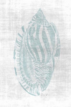 Framed Beautiful Shells 1 Print