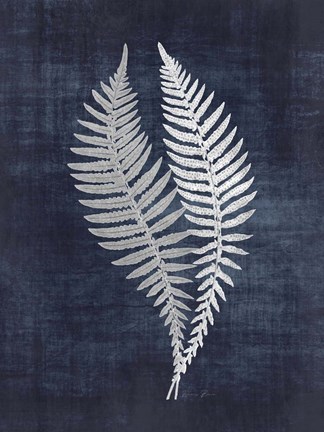 Framed Fern 2 Print