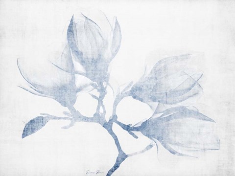 Framed Floral Study Print