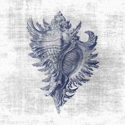 Framed Sea Life 1 Print