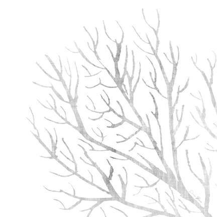 Framed White Seaweed 1 Print