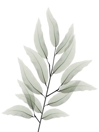 Framed Franken Tree 1 Print