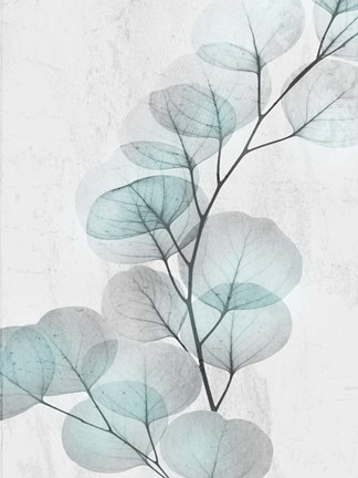 Framed Eucalyptus Glow 4 Print