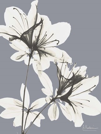 Framed Splendid Autumn Beauty 1 Print