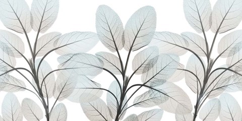 Framed Sandy Beauty 1 Print