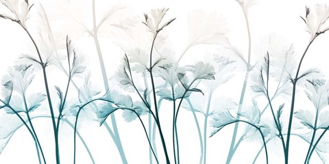 Framed Amethyst Breeze 1 Print