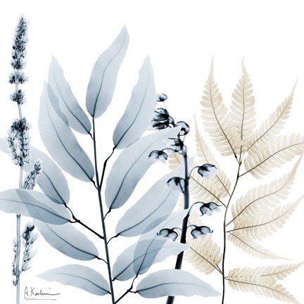 Framed Dusk And Dawn 1 Print