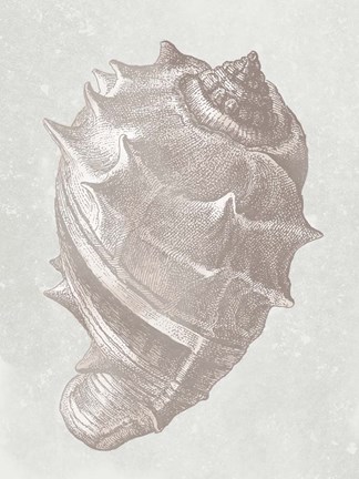 Framed Coastal Bliss 2 Print