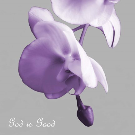 Framed Godly Good Orchids Print