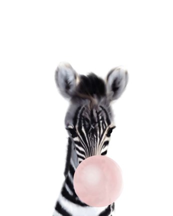 Framed Baby Zebra Bubble Gum Print