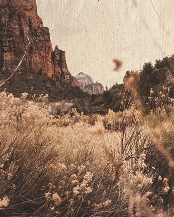 Framed Mountain Range Print