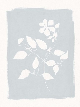 Framed Pressed Daisies Print