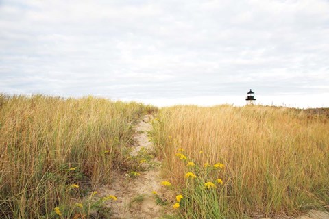 Framed Nantucket lighthouse Print