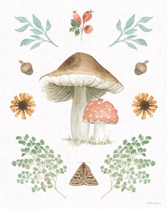 Framed Forest Finds XI Print