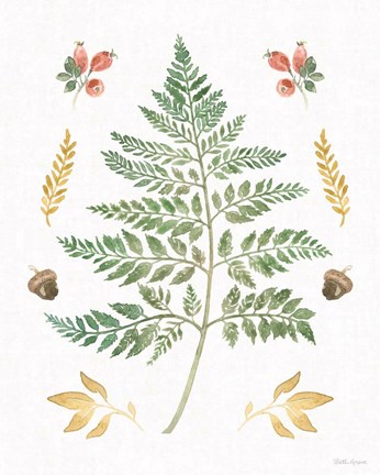 Framed Forest Finds IX Print