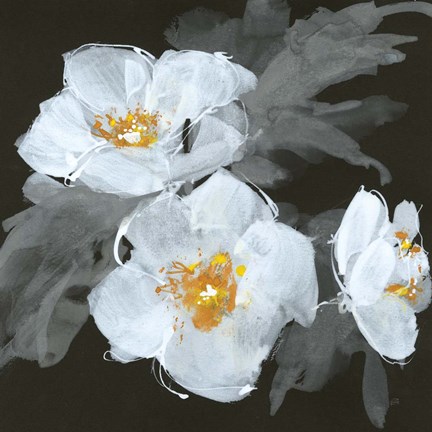 Framed Poppies II Print