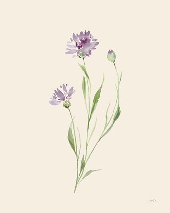 Framed Wild Blooms II Print