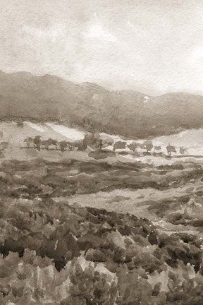 Framed Field of Flowers II Sepia Print