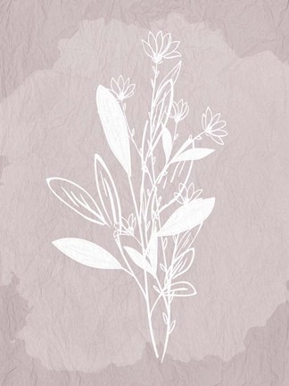 Framed Floral Sketch 2 Print