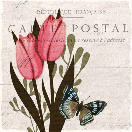Framed Tulip Postcard 1 Print
