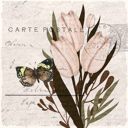 Framed Tulip Postcard 2 Print