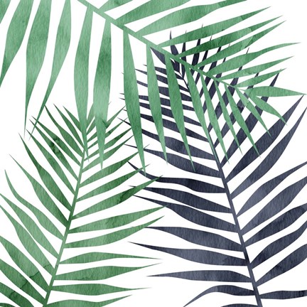 Framed Shades 1 Print