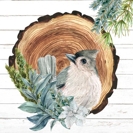 Framed Winter Birds 1 Print