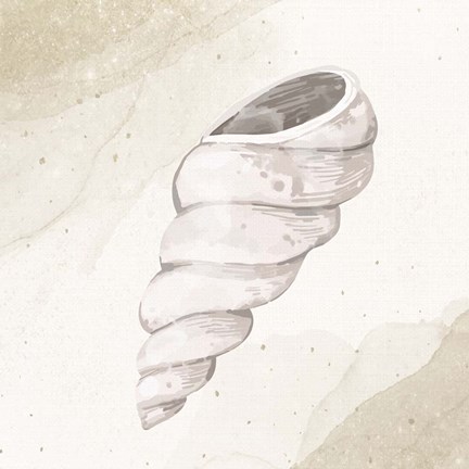 Framed Calming Shell 3 Print