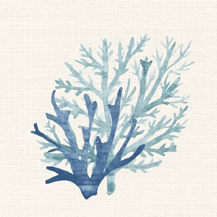 Framed Coral Shades 2 Print