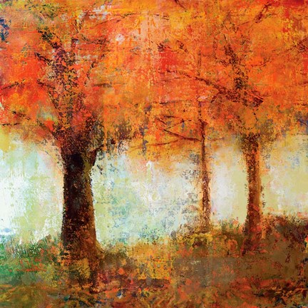 Framed Fall Trees Print