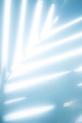 Framed Tropical Palms No. 2 Print