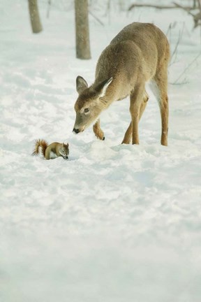 Framed Winter Squirrel and Deer Print