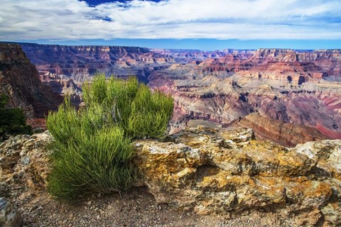 Framed Grand Canyon Medicine Print