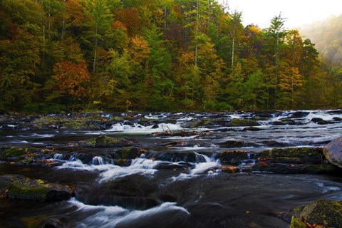 Framed Autumn on the Tellico River Print