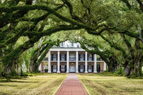 Framed Oak Alley Plantation Print