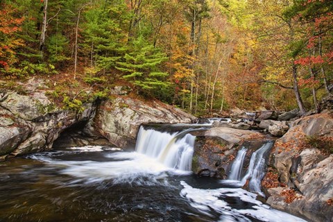 Framed Baby Falls Tellico River Print