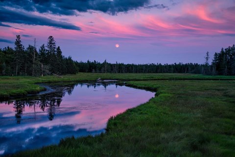 Framed Moon Over Bass Harbor Marsh Print