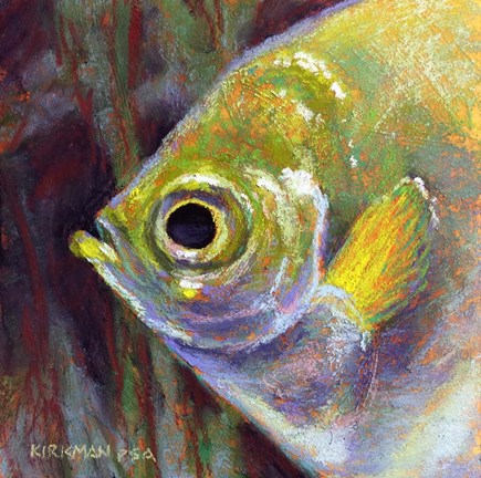 Framed Profile of an Angelfish Print