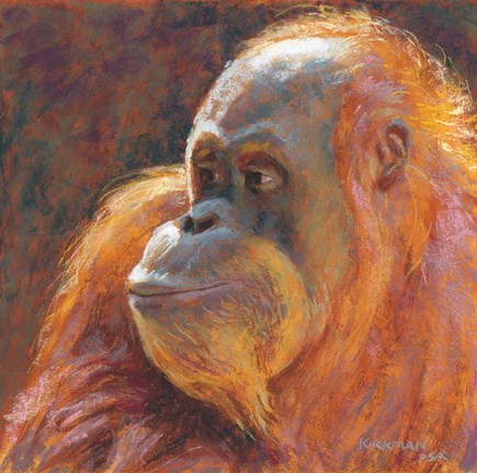 Framed O is for Orangutan Print
