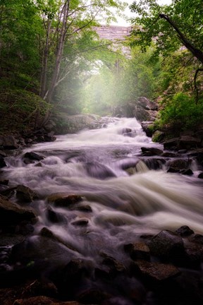 Framed Spring Flow at Duck Brook Print