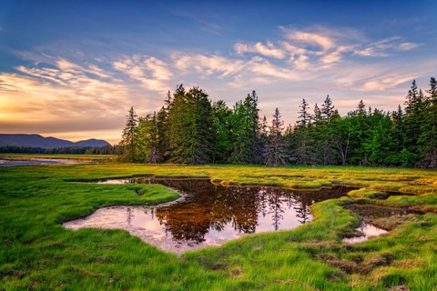 Framed Spring Evening at Bass Harbor Marsh Print