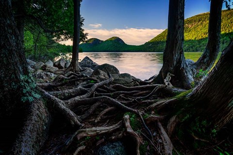 Framed Jordan Pond Through The Trees Print