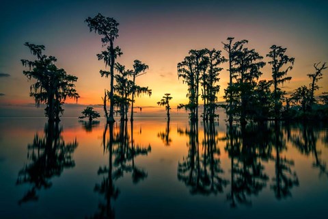 Framed Dawn on Lake Maurepas Print