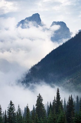 Framed Mountain Fog Print